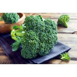 Broccoli - Organic - Pfennings ON - Case 14  Broccoli - Organic - Pfennings ON - Case 14