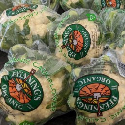 Cauliflower - Organic - Pfennings ON - Case of 16 Cauliflower - Organic - Pfennings ON - Case of 16