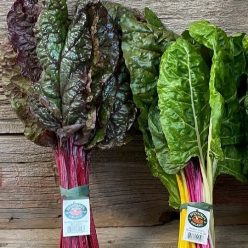 Chard - Rainbow - Organic - Pfennings -24 Count Chard - Rainbow - Organic - Pfennings -24 Count