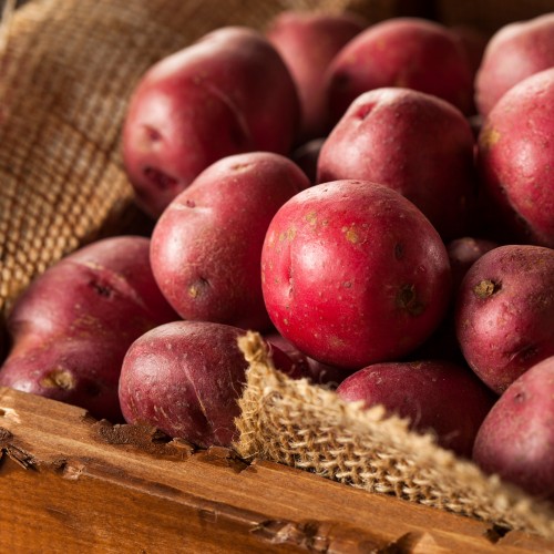 Potatoes - Red - Pfennings - Local Organic - 25 lbs Potatoes - Red - Pfennings - Local Organic - 25 lbs
