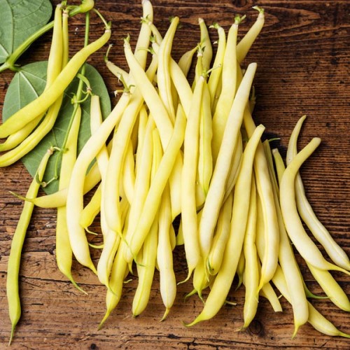 Beans - Yellow - Organic - Pfennings ON - 1/2  Bushel  Beans - Yellow - Organic - Pfennings ON - 1/2  Bushel