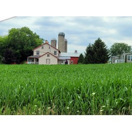 Private Countryside Back Roads Tour  - Tues, Thurs, Sat (2-23 People)