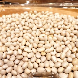 Navy Beans (per lb.)  Navy Beans (per lb.)