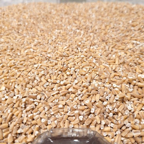 Steel Cut Oats - per lb Steel Cut Oats - per lb