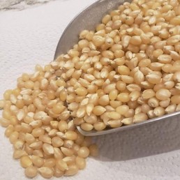 White Popping Corn - per lb White Popping Corn - per lb